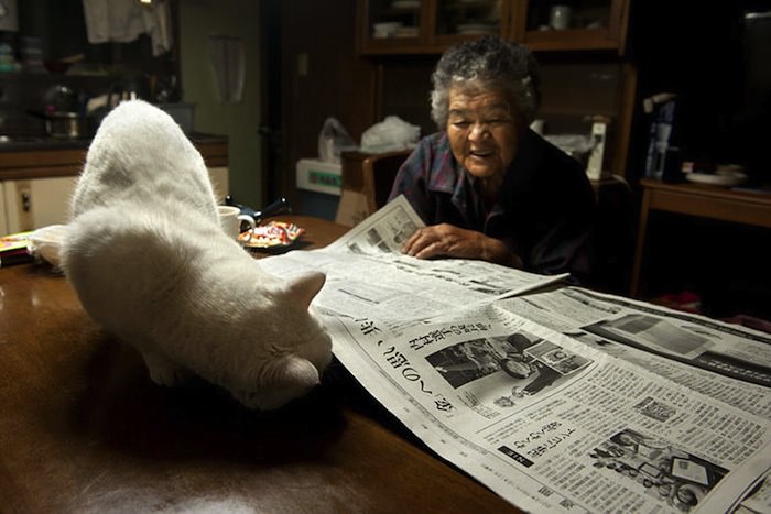 lady and cat friendship