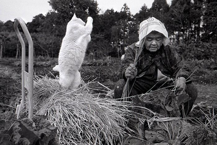 lady and cat friendship