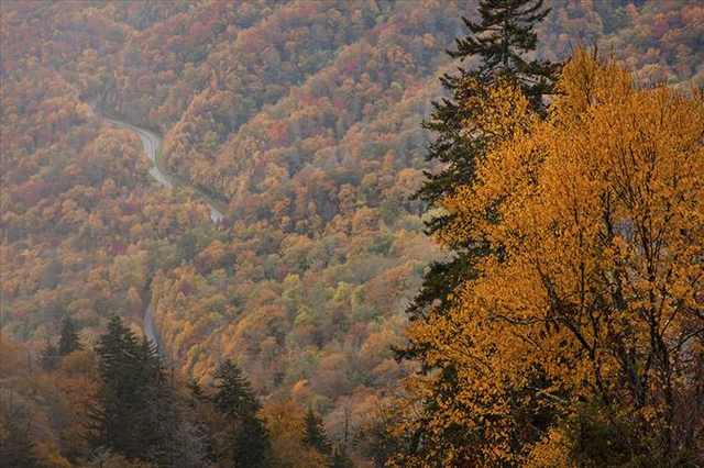 Smoky mountains in autumn