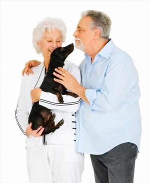 elderly couple with sausage dog