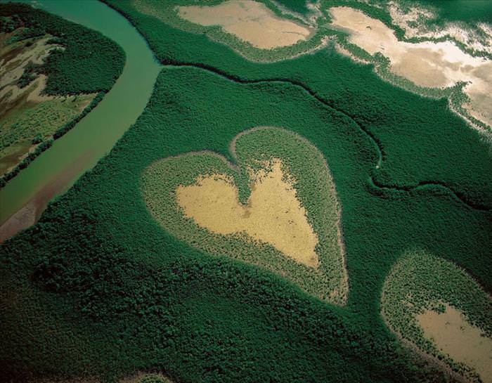 photos of natural heart shapes