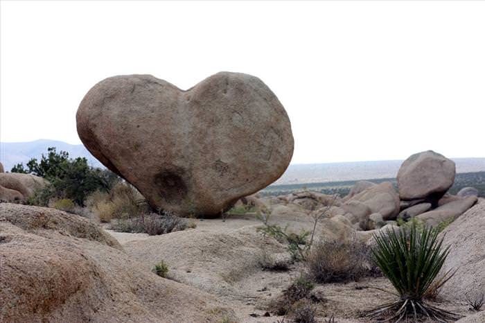 photos of natural heart shapes