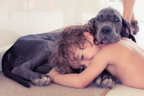 photos of kids and animals