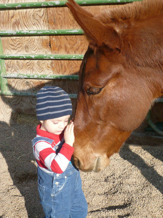 photos of kids and animals