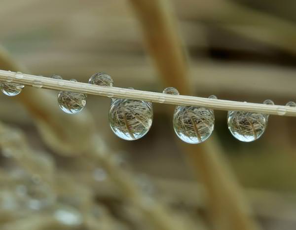 photos of beautiful drops