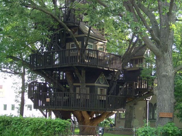 amazing tree houses