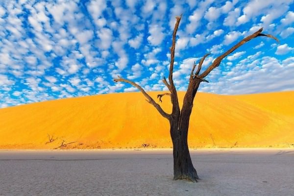 photos of Namibia desert
