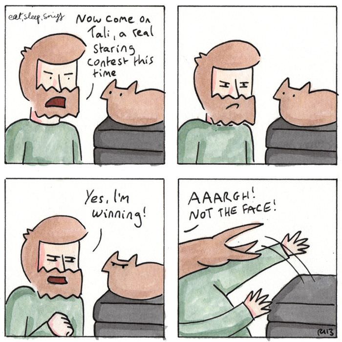cat comics