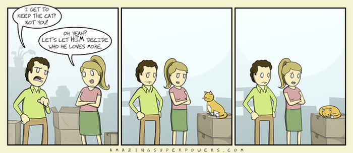 cat comics