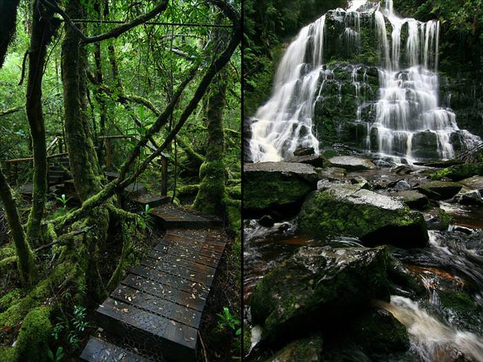 tasmanian wilderness