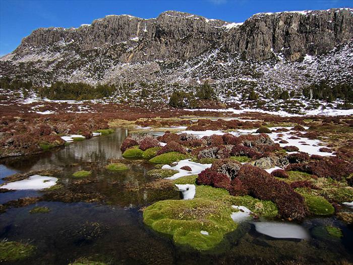 tasmanian wilderness