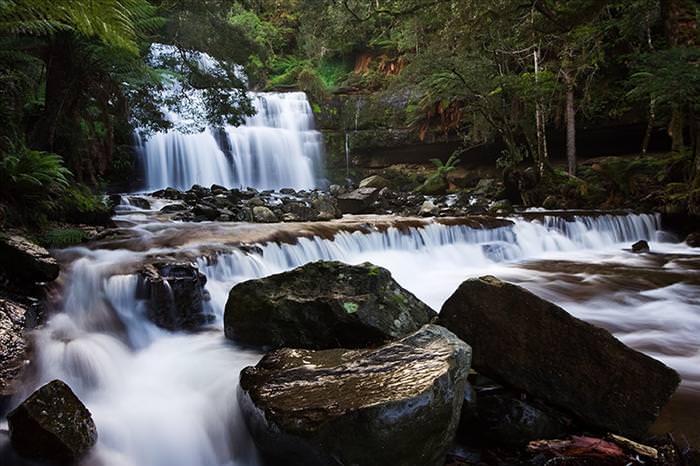 tasmanian wilderness