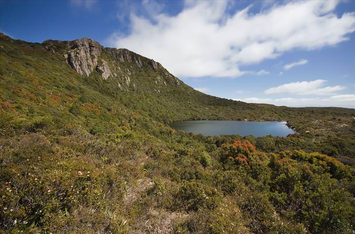 tasmanian wilderness