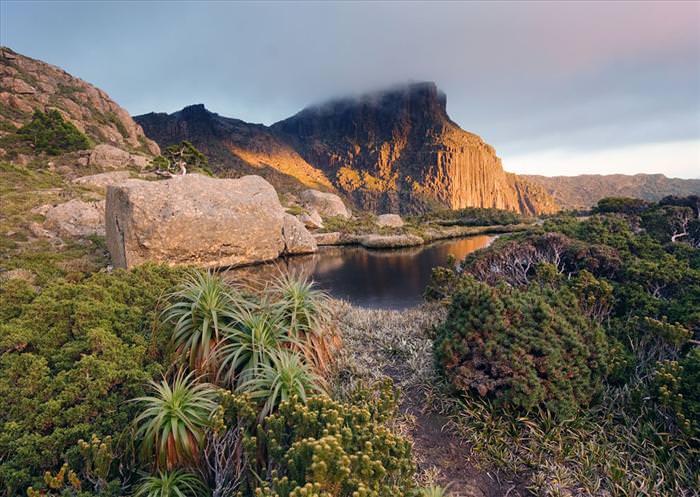 tasmanian wilderness