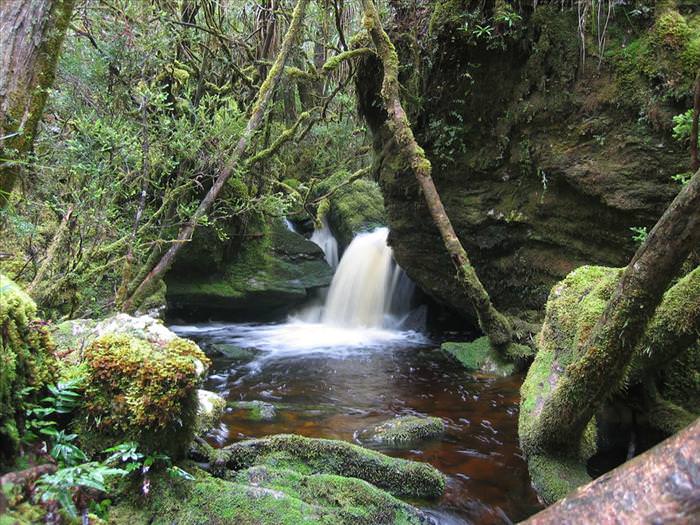 tasmanian wilderness