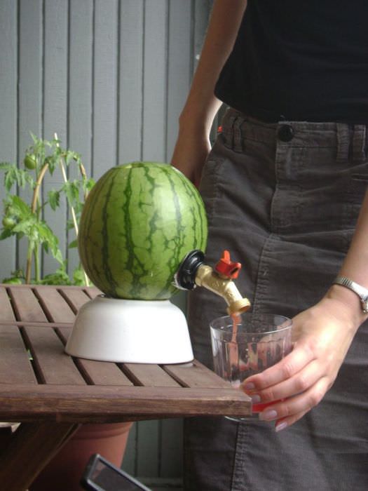 watermelon DIY