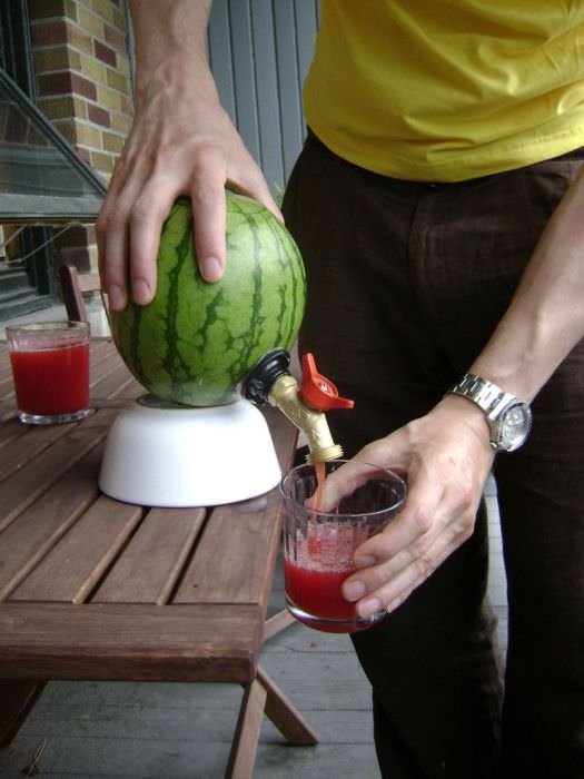 watermelon DIY