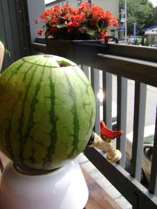 watermelon DIY