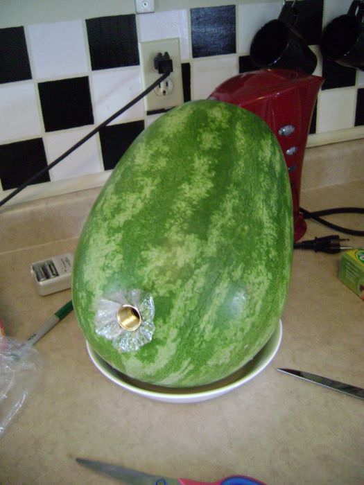 watermelon DIY