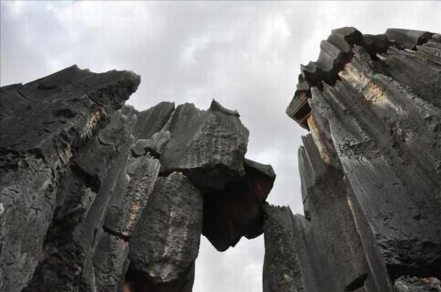 stone forest photos