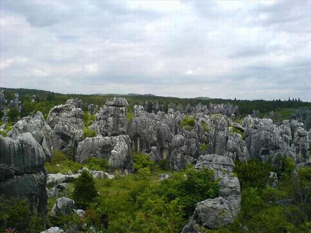 stone forest photos