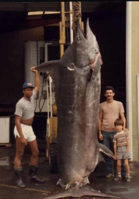 huge caught fish