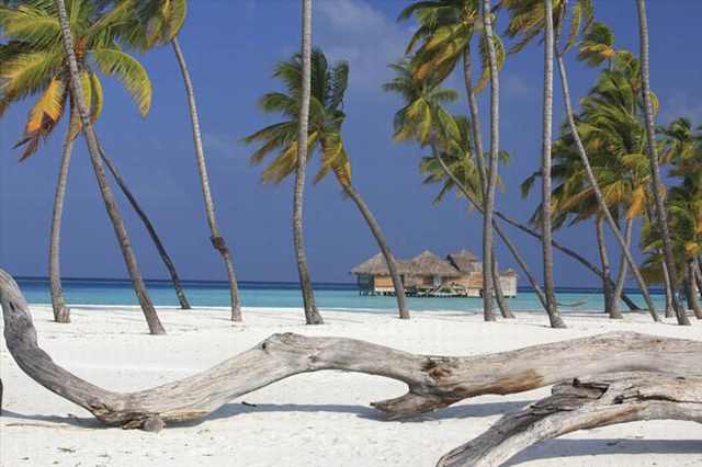 maldives cabins