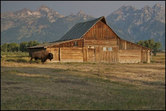 grand teton park