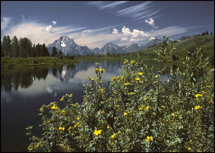 grand teton park