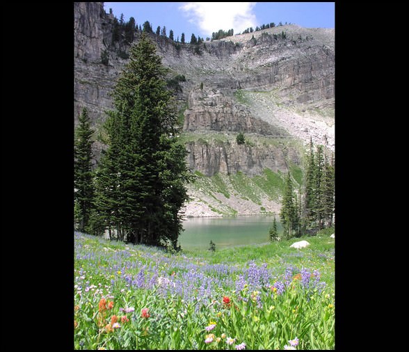 grand teton park