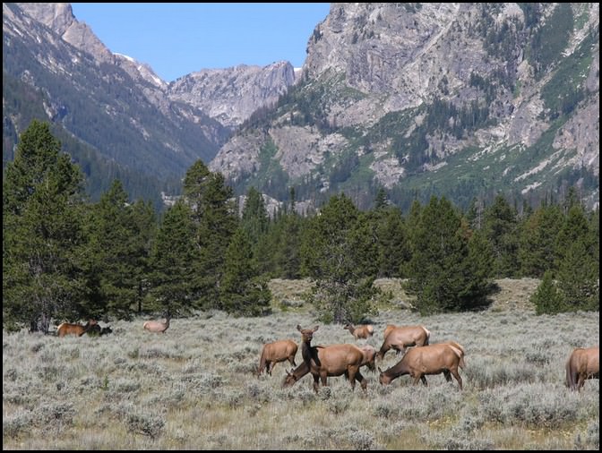 grand teton park