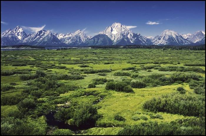 grand teton park