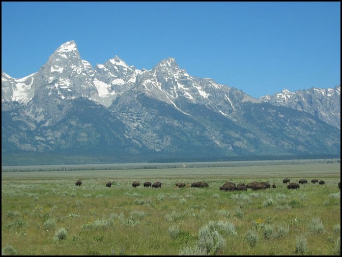 grand teton park