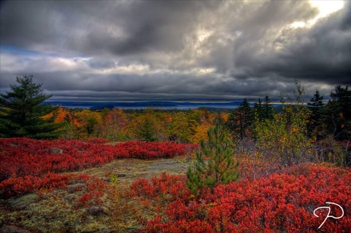 acadia national park