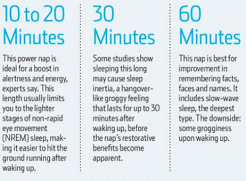 nap facts
