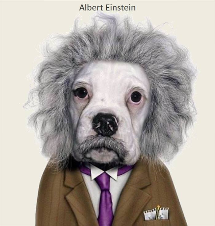 Pets as Famous People