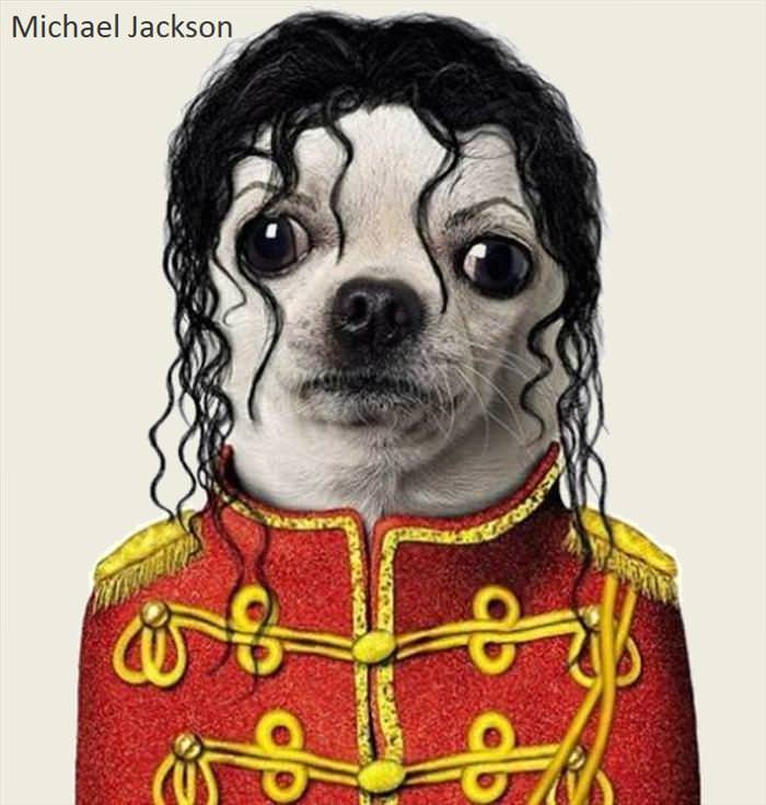 Pets as Famous People