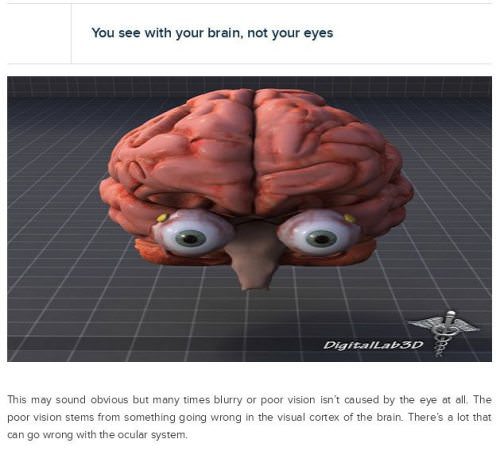 eye information