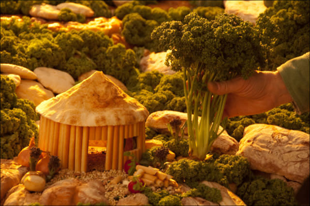 food landscape