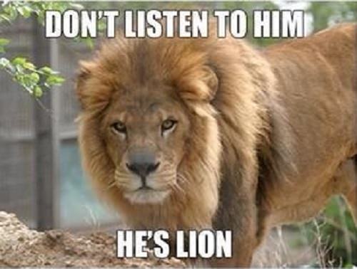 animal puns: lion pun