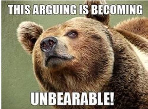 animal puns: bear pun