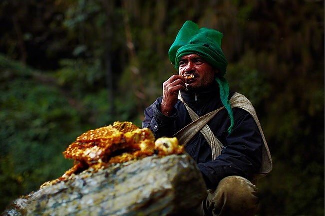 The Fascinating Honey Hunters of Nepal