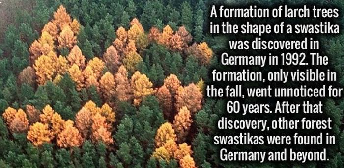 20 Weird Facts You Didn't Know You Need to Know