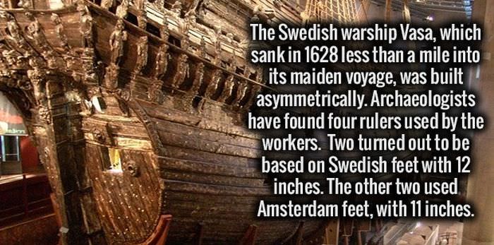 20 Weird Facts You Didn't Know You Need to Know