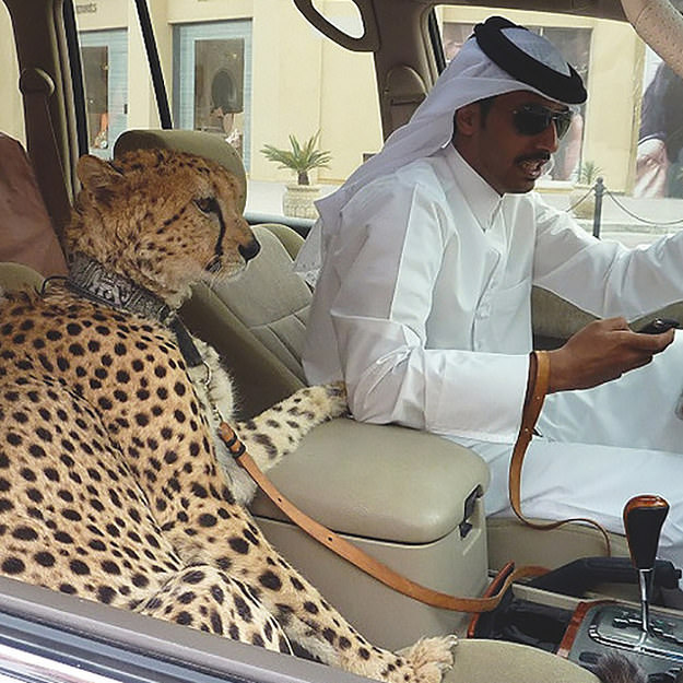 Just An Ordinary Day in Dubai