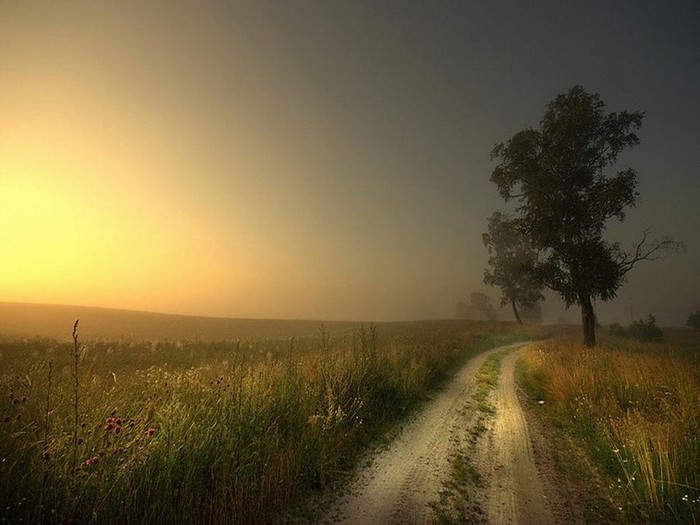 When the Sky Meets the Earth