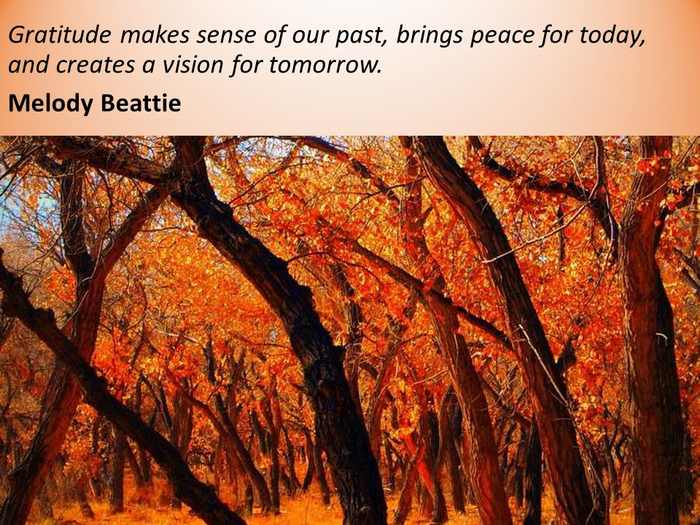 quotes thanksgiving gratitude