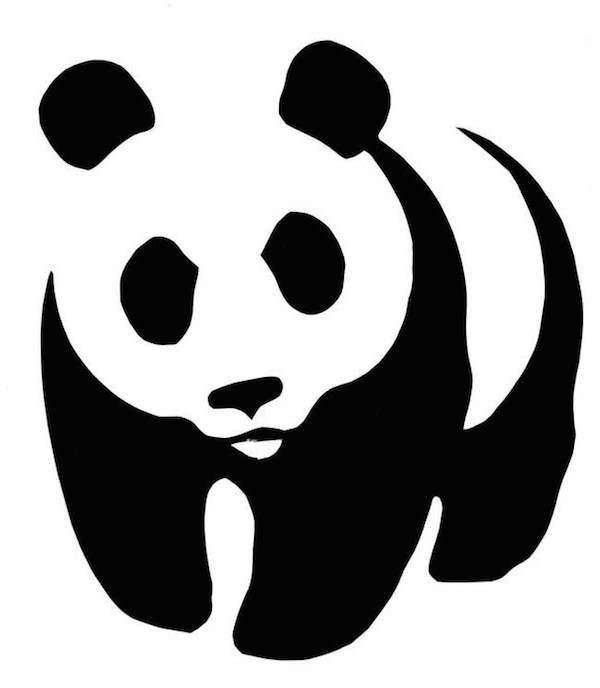 15 Panda Facts