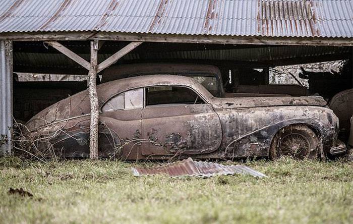 A Hidden Treasure Found On a Family Owned Farm Worth Millions!