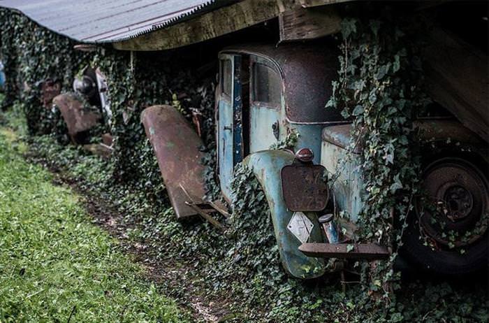 A Hidden Treasure Found On a Family Owned Farm Worth Millions!